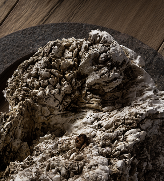 Burl Sculptural Wall Art