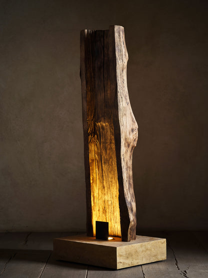 FRUIT LAMP
