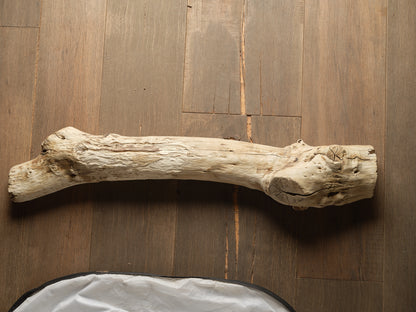 ROOT