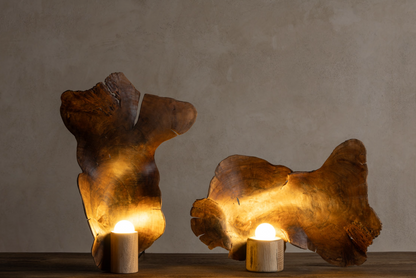 Lampara Rooted Organic - Sculpture