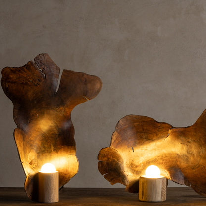 Lampara Rooted Organic - Sculpture