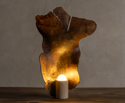 Lampara Rooted Organic - Sculpture